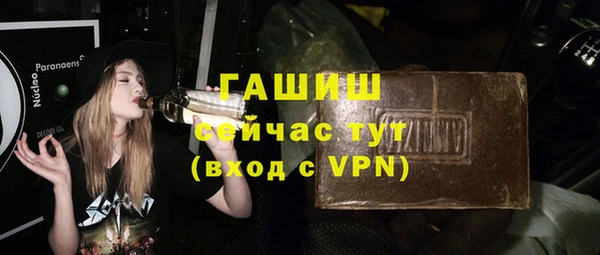 ECSTASY Богданович
