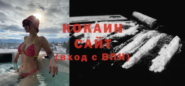 ECSTASY Богданович