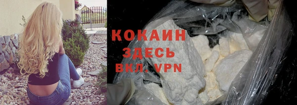 ECSTASY Богданович