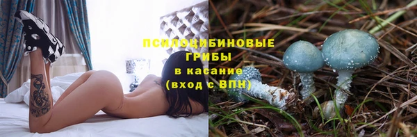 герыч Богородицк