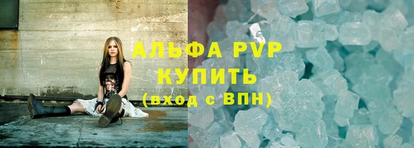 ECSTASY Богданович