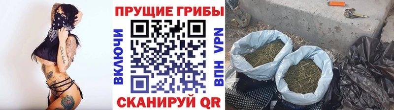 магазин продажи наркотиков  Ярославль  даркнет как зайти  Псилоцибиновые грибы мицелий 