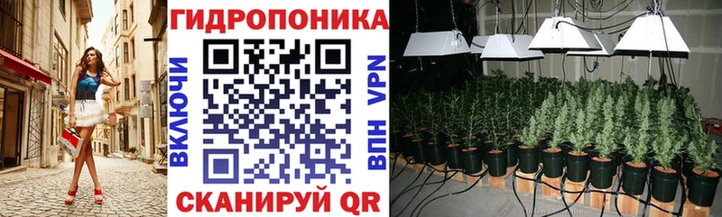 Марихуана планчик  где можно купить   darknet телеграм  Ярославль 